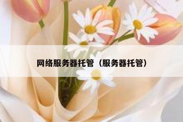 网络服务器托管（服务器托管） 第1张