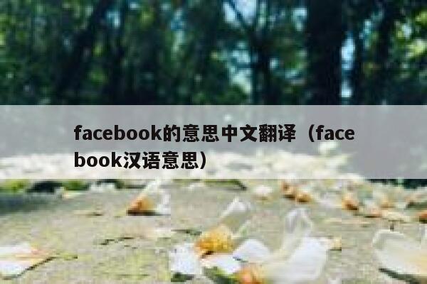 facebook的意思中文翻译（facebook汉语意思） 第1张
