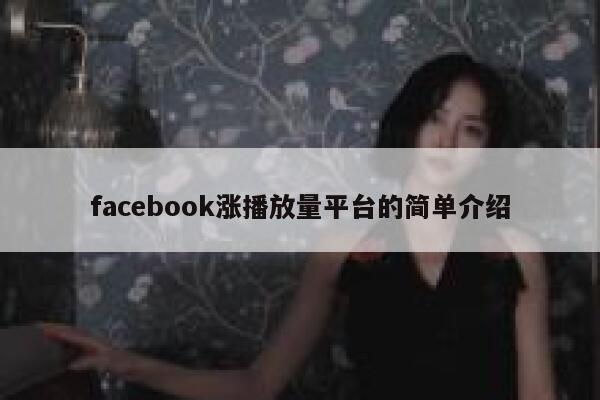 facebook涨播放量平台的简单介绍 第1张