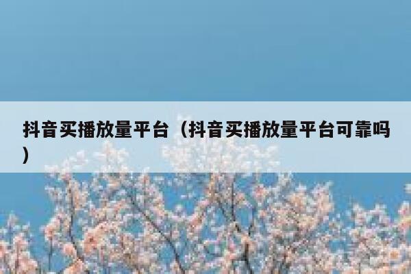 抖音买播放量平台（抖音买播放量平台可靠吗） 第1张
