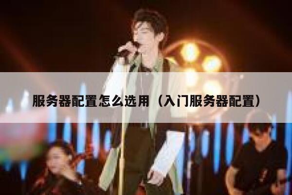 服务器配置怎么选用（入门服务器配置） 第1张