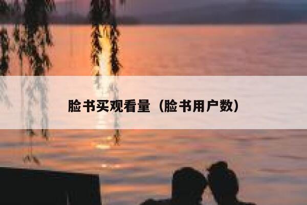 脸书买观看量（脸书用户数） 第1张