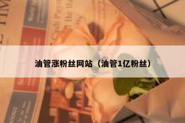 油管涨粉丝网站（油管1亿粉丝） 第1张
