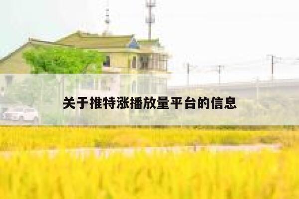 关于推特涨播放量平台的信息 第1张