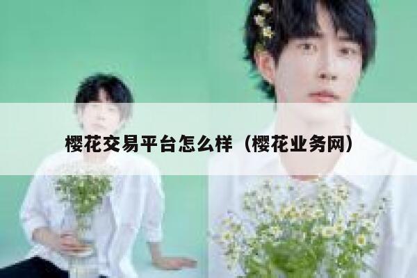 樱花交易平台怎么样（樱花业务网） 第1张