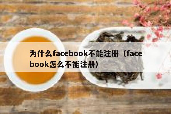 为什么facebook不能注册（facebook怎么不能注册） 第1张