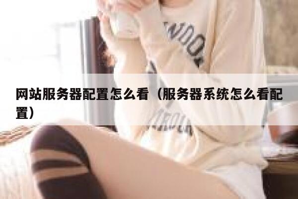 网站服务器配置怎么看（服务器系统怎么看配置） 第1张