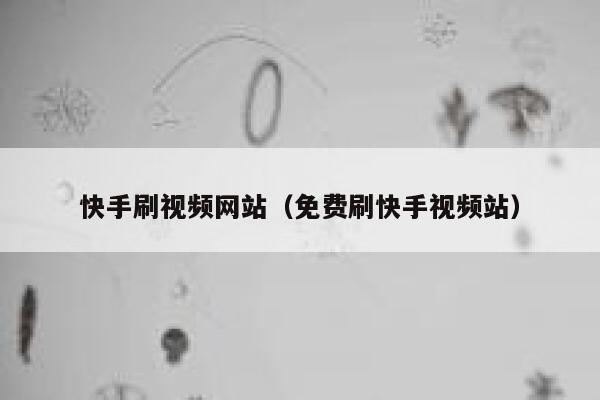 快手刷视频网站（免费刷快手视频站） 第1张