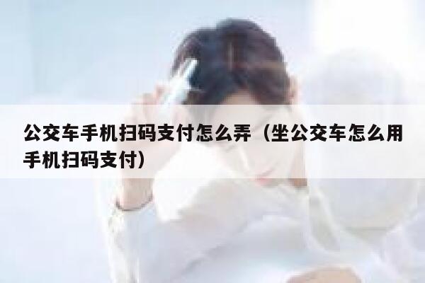 公交车手机扫码支付怎么弄（坐公交车怎么用手机扫码支付） 第1张