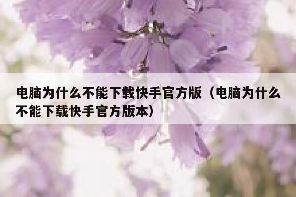 电脑为什么不能下载快手官方版（电脑为什么不能下载快手官方版本） 第1张
