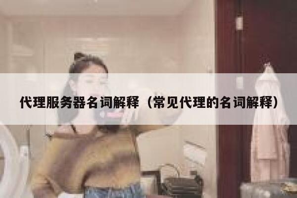 代理服务器名词解释（常见代理的名词解释） 第1张