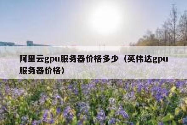 阿里云gpu服务器价格多少（英伟达gpu服务器价格） 第1张