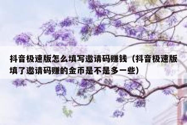 抖音极速版怎么填写邀请码赚钱（抖音极速版填了邀请码赚的金币是不是多一些） 第1张