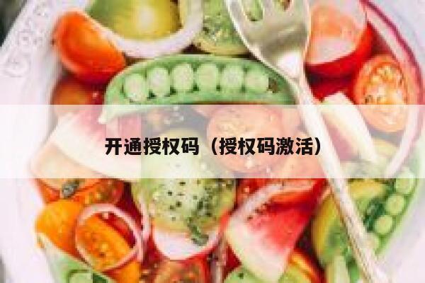开通授权码（授权码激活） 第1张