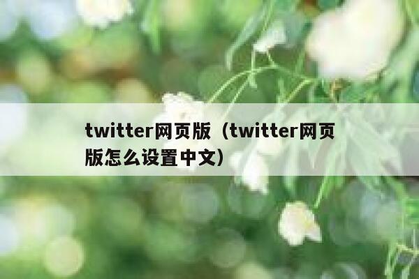 twitter网页版（twitter网页版怎么设置中文） 第1张
