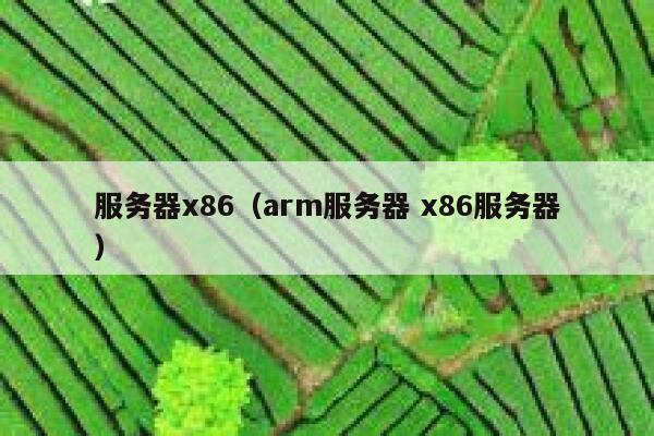 服务器x86（arm服务器 x86服务器） 第1张