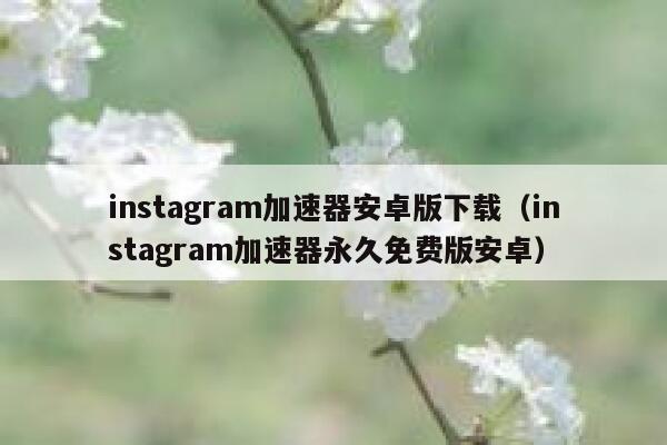 instagram加速器安卓版下载（instagram加速器永久免费版安卓） 第1张