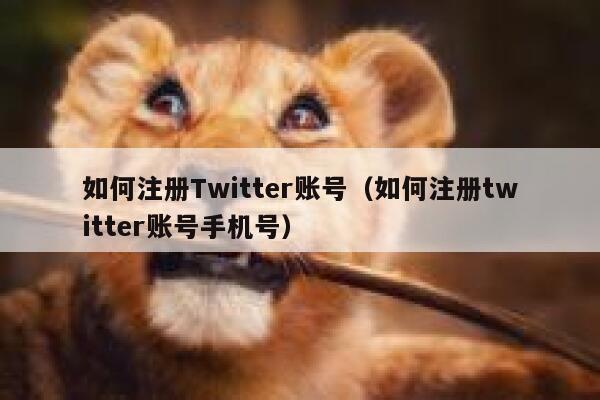如何注册Twitter账号（如何注册twitter账号手机号） 第1张