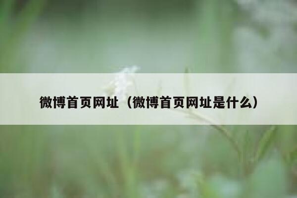 微博首页网址（微博首页网址是什么） 第1张