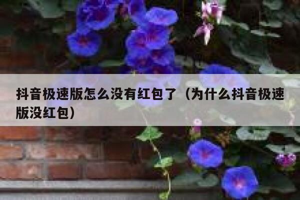 抖音极速版怎么没有红包了（为什么抖音极速版没红包） 第1张