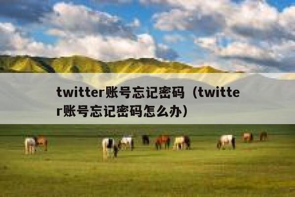 twitter账号忘记密码（twitter账号忘记密码怎么办） 第1张