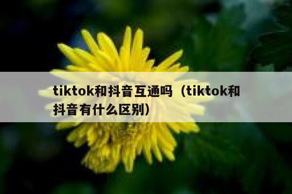 tiktok和抖音互通吗（tiktok和抖音有什么区别） 第1张