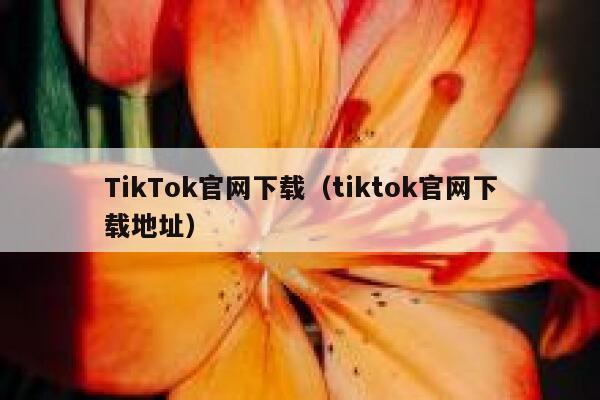 TikTok官网下载（tiktok官网下载地址） 第1张