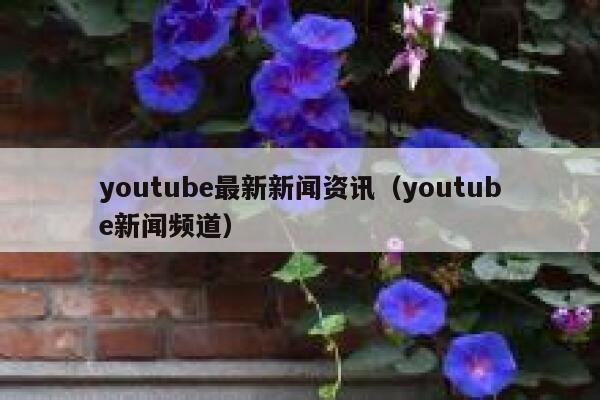 youtube最新新闻资讯（youtube新闻频道） 第1张