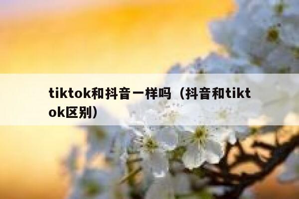 tiktok和抖音一样吗（抖音和tiktok区别） 第1张
