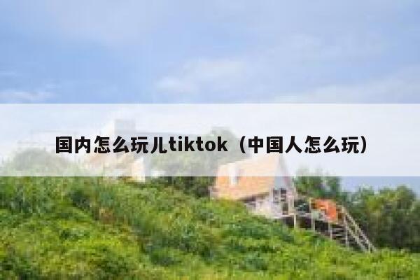 国内怎么玩儿tiktok（中国人怎么玩） 第1张