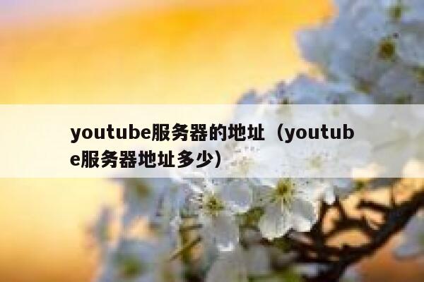 youtube服务器的地址（youtube服务器地址多少） 第1张