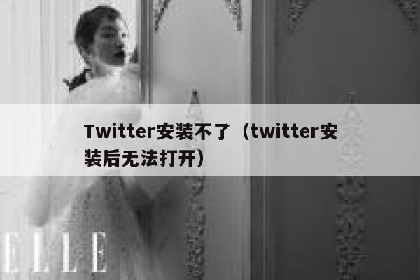 Twitter安装不了（twitter安装后无法打开） 第1张