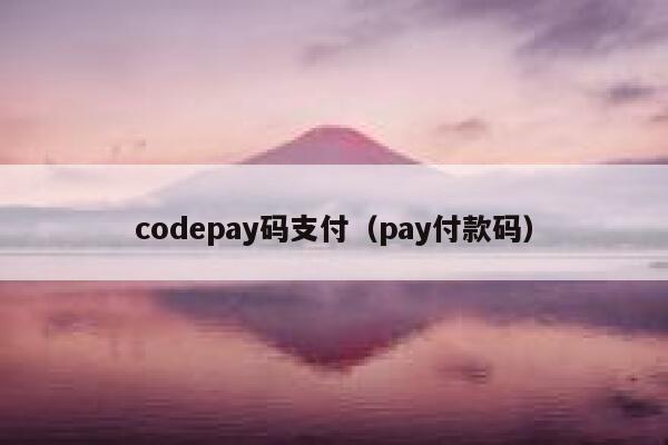 codepay码支付（pay付款码） 第1张