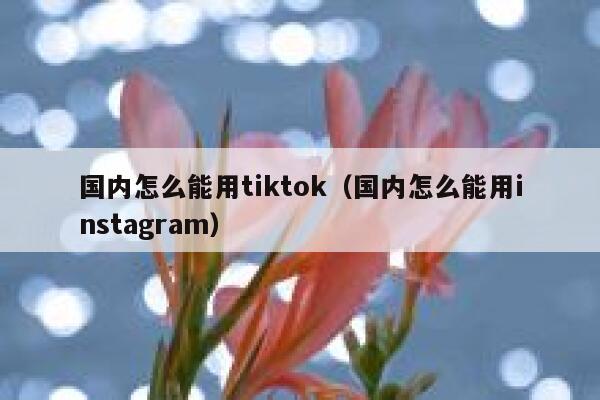 国内怎么能用tiktok（国内怎么能用instagram） 第1张