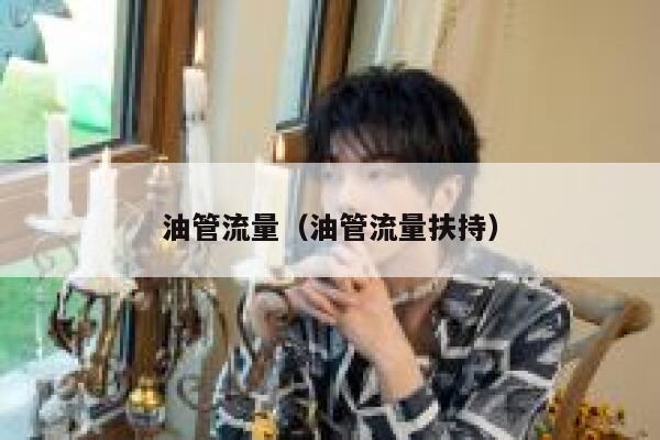 油管流量（油管流量扶持） 第1张