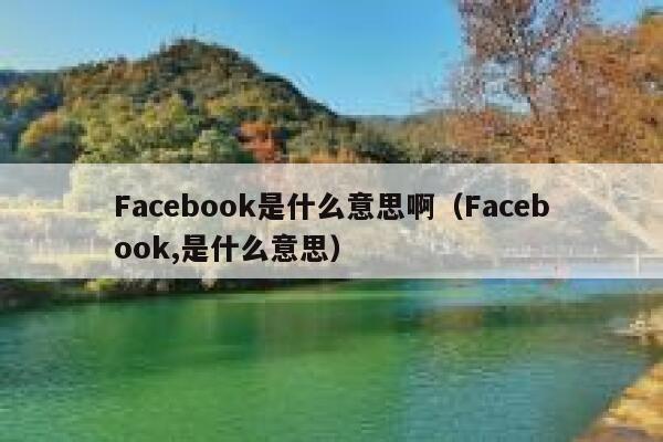 Facebook是什么意思啊（Facebook,是什么意思） 第1张