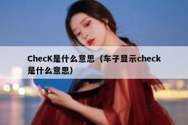 ChecK是什么意思（车子显示check是什么意思） 第1张