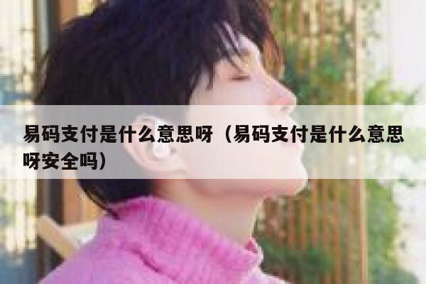 易码支付是什么意思呀（易码支付是什么意思呀安全吗） 第1张