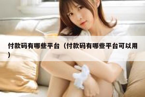 付款码有哪些平台（付款码有哪些平台可以用） 第1张