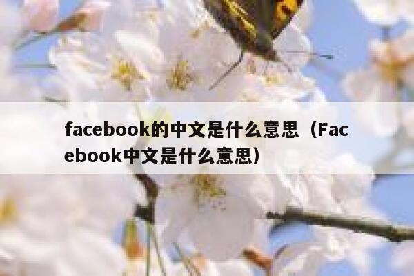 facebook的中文是什么意思（Facebook中文是什么意思） 第1张
