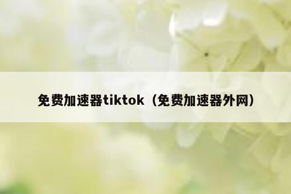 免费加速器tiktok（免费加速器外网） 第1张