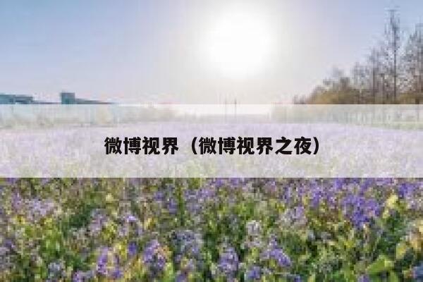 微博视界（微博视界之夜） 第1张