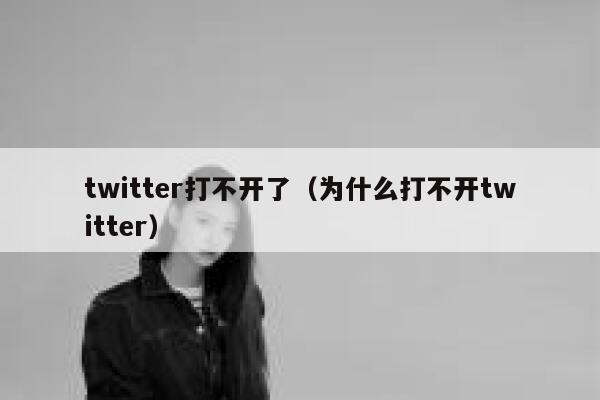 twitter打不开了（为什么打不开twitter） 第1张