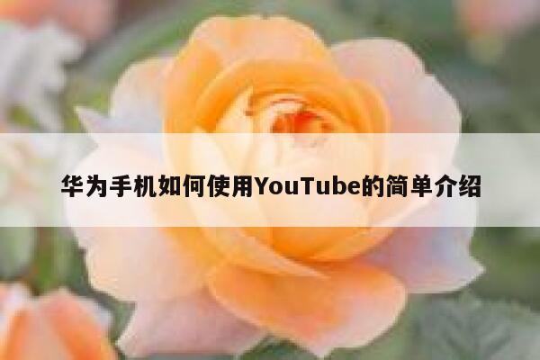 华为手机如何使用YouTube的简单介绍 第1张
