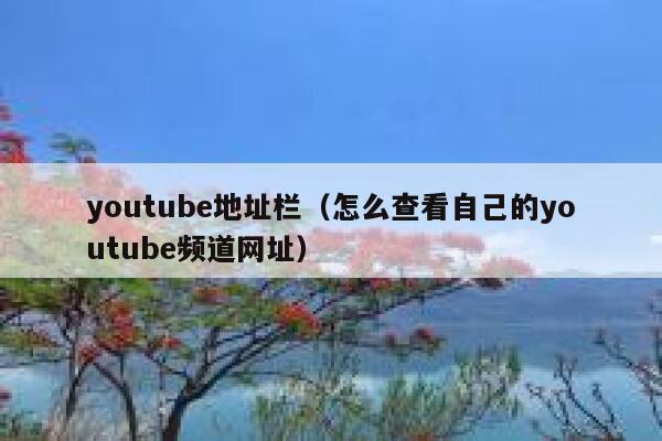 youtube地址栏（怎么查看自己的youtube频道网址） 第1张