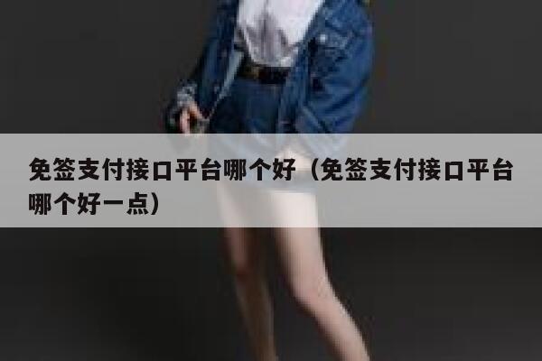 免签支付接口平台哪个好（免签支付接口平台哪个好一点） 第1张