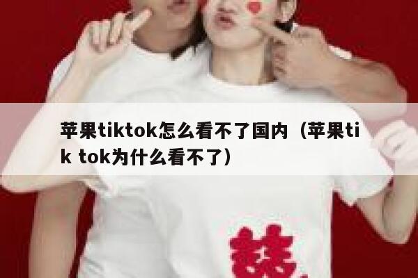 苹果tiktok怎么看不了国内（苹果tik tok为什么看不了） 第1张