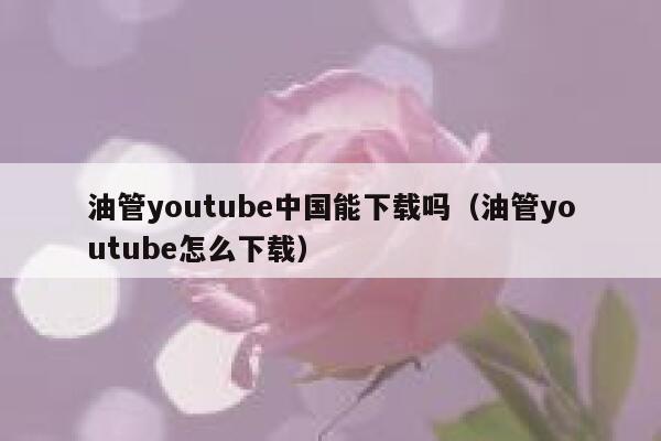 油管youtube中国能下载吗（油管youtube怎么下载） 第1张