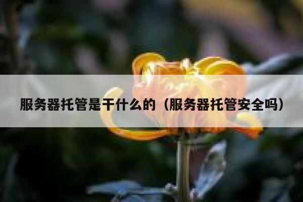 服务器托管是干什么的（服务器托管安全吗） 第1张