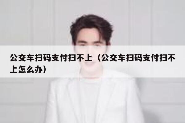 公交车扫码支付扫不上（公交车扫码支付扫不上怎么办） 第1张